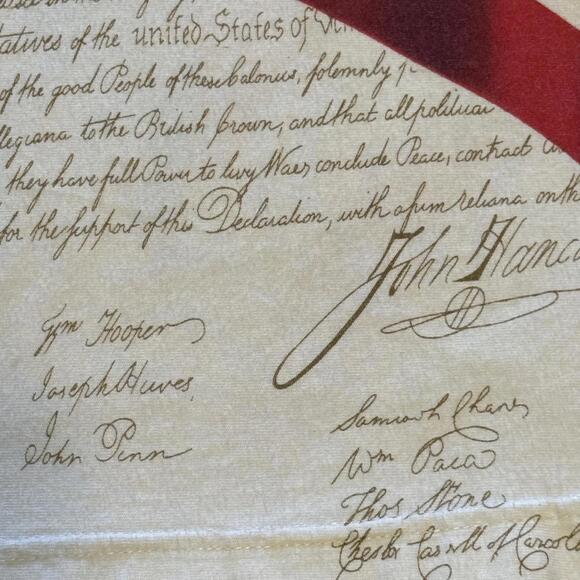 American Summer Clothing Company Men's Patriotic Flag Polo Shirt Large - Picture 11 of 11